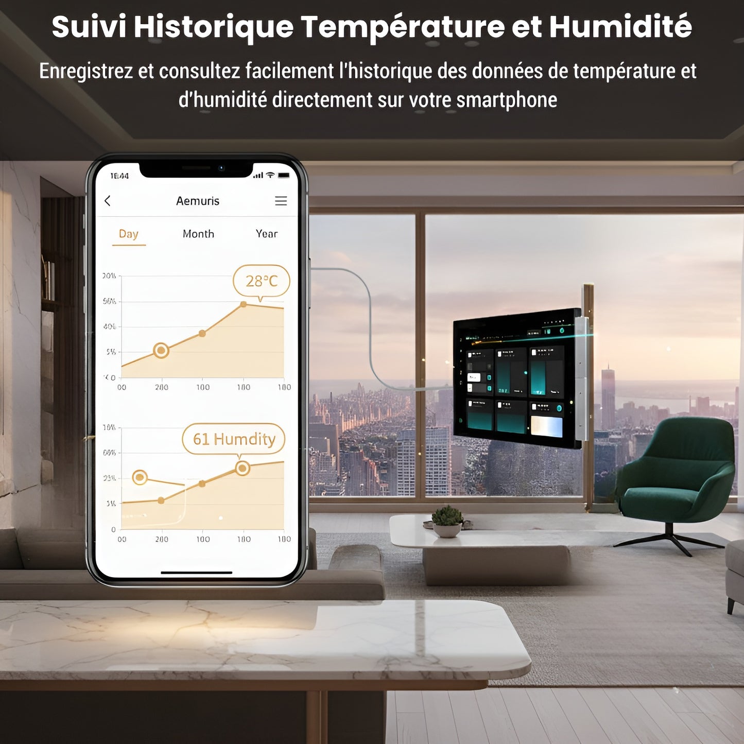 Thermomètre Connecté