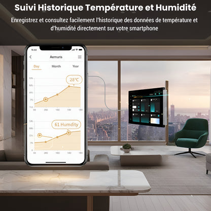 Thermomètre Connecté